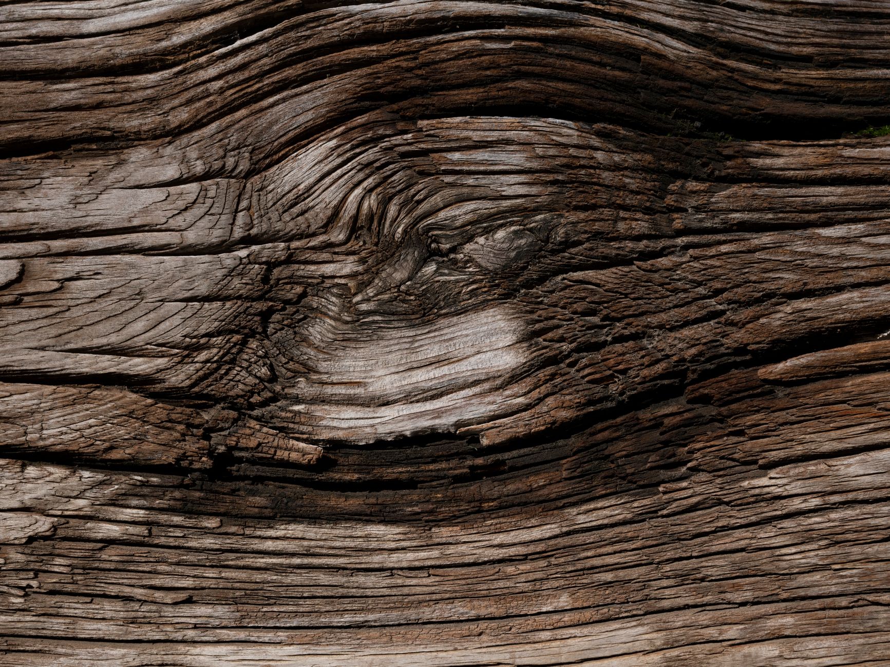 Knot On Wood